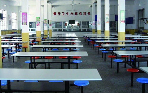 增城公辦中小學食堂中餐服務現狀與展望